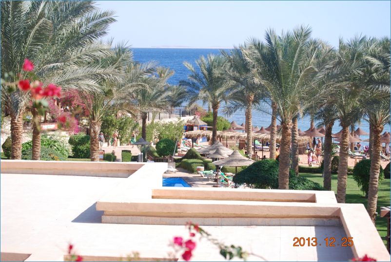 sharm 12 097